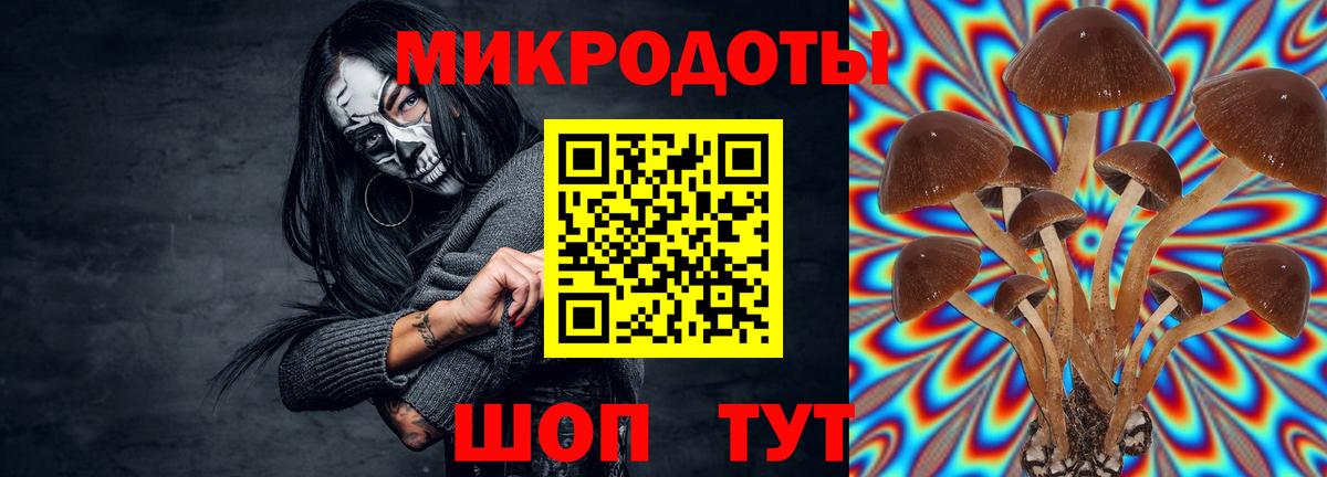Медногорск  Галлюциногенные грибы Cubensis  Вход с VPN  Галлюциногенные грибы ЛСД 